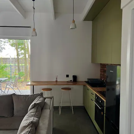 Dom Na Wynajem śrem 54 Apartament